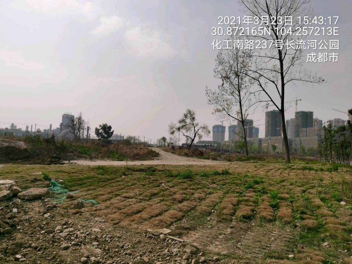 先管委片区经营性用地Z3地块上市前土地污染状况调查